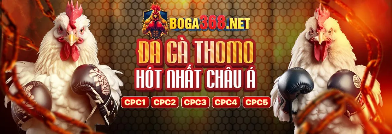 Đội ngũ chuyên nghiệp của SV288 nhà cái